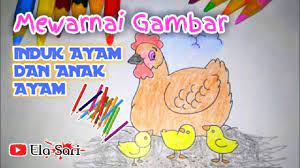 Secara umum dapat melatih daya kreatifitas dan imajinasi anak sehingga dapat mengetahui. Induk Dan Anak Ayam Mewarnai Gambar Dengan Pensil Warna Youtube