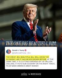 The White House 