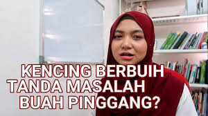 Anda juga boleh menambahbaik tahap kesihatan melalui pengambilan beberapa suplemen yang dapat membantu dalam meredakan masalah penapis. 5 Tanda Awal Sakit Buah Pinggang Cara Pencegahannya