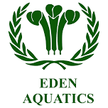 Eden LC3