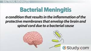 Corticosteroids for acute bacterial meningitis. Bacterial Meningitis Transmission Symptoms Treatments Video Lesson Transcript Study Com