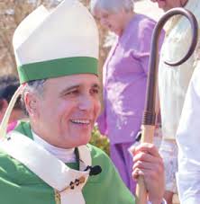 NTC 11-7-08-24-pages.indd