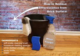 To remove dried mortar from bricks the most effective treatment is muriatic acid diluted with plain water. How To Remove Efflorescence From Brick Surface Step By Step Directions