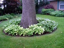 15 Eye Catching Flower Beds Around Trees You Need To See Top Dreamer Large Yard Landscaping Small Front Yard Landscaping Backyard Trees