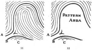 Résultat de recherche d'images pour "fingerprint types"