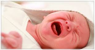 Découvrez les bienfaits santé de cette plante phytothérapie. 5 Remedes Pour Calmer Les Coliques Du Nourrisson Secrets De Plantes