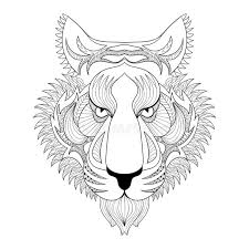 Draw a white tiger mascot logo in adobe illustrator. Vector Tiger Zentangle Tiger Face Illustration Tiger Head Prin Stock Vector Illustration Of Carnivore Mascot 70126673