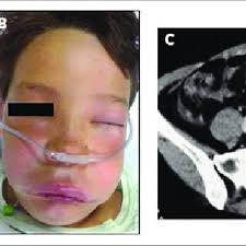 Fluxograma de elaboración de la tesis en formato de artículo científico... 