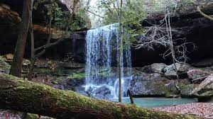 On to the bank head national forrest headquarters( marylyn was most helpful ! William B Bankhead National Forest Alabama Beste Route Wald Alltrails