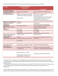 Rna Transciption Chart