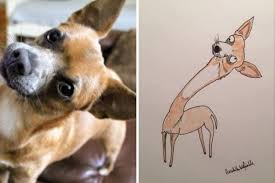 We did not find results for: Worthing Dad Hercule Van Wolfwinkle Raises Almost 20k For Charity With Joke Pet Portraits The Argus