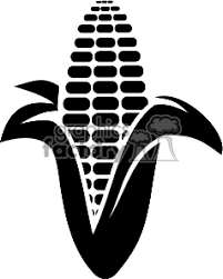 Black And White Graphics Images Black And White Corn On The Cob Clipart Royalty Free Clipart 370766 Corn Drawing White Corn Clip Art