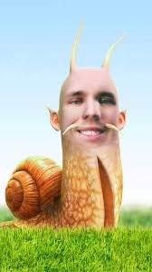 Lemme know your fav tree in the comments. I like a bald cypress in the  bayou 🐊🌲