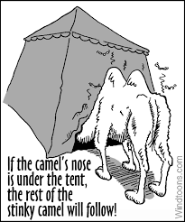 The moral of this story is this: Davidtarkington Com The Constitutional Battle In Houston The Camel S Nose Is Under The Tent