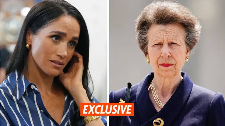 Princess Anne furious over Prince Harry's reunion snub | New Idea