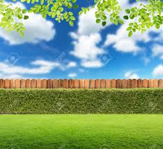 And season.for create product display or design key visual layout. Garden Background Stock Photo Picture And Royalty Free Image Image 39632073
