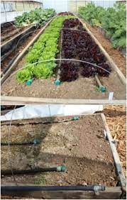 Drip irrigation conserves water, reduces weed pressure and reduces plant diseases. 16 Cheap And Easy Diy Irrigation Systems For A Self Watering Garden Diy Crafts