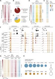 Uc browser is hosting omg quiz, omg cash in india and indonesia. Combinatorial Smad2 3 Activities Downstream Of Nodal Signaling Maintain Embryonic Extra Embryonic Cell Identities During Lineage Priming Sciencedirect