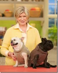 Free crochet and knit patterns especially for chihuahuas! Dog Sweater Free Knitting Pattern