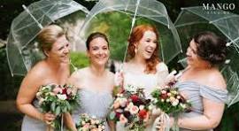 Clear Dome Umbrella – Wedding Umbrella, Photoshoot Prop, Rainy Day Essential