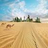 Come and join us for a two hour unforgettable sunset camel ride. Https Encrypted Tbn0 Gstatic Com Images Q Tbn And9gcsfkhqasdxkh8mu3xynwoby 9wfpllgffibneduwogilcnnskpk Usqp Cau