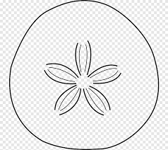 If you did your sketch in blue pencil, you can obviously skip this step. Sand Dollar Starfish White Seashell Beach White Png Pngegg
