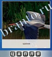 игра одним словом антонимы ответы на все уровни в одноклассниках Odnim Slovom Chto Spryatano Otvety Podskazki Na Igru V Kartinkah