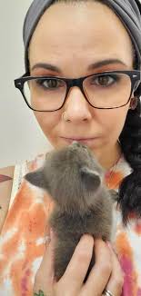 I know this is Half unrelated, but I wish they wold Also I love how the cat  is just named Kitten in Spanish with Sprin infront So Spring Kitten 🤣