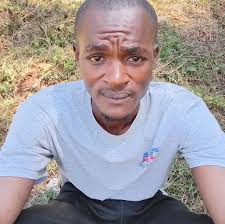 Denis Collette in people