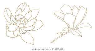 Set Graphical Hand Drawn Magnolia Flowers Stock Vector Royalty Free 647381056 Magnolia Flower Magnolia Stock Vector