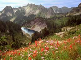Image result for طبیعت چشم نواز