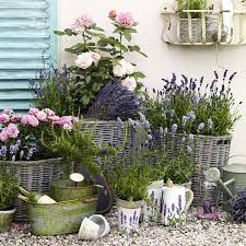 Lavendel Zitronen Und Shabby Chic Schaffen Den Franzosischen Look Wir Zeigen Wie Diy Garten Ideen Garten Bepflanzen Topfblumen Garten Gestalten