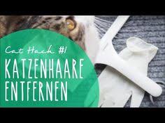 Im obigen abschnitt haben wir dir bereits den thomas waschsauger empfohlen. Die 15 Besten Ideen Zu Katzenhaare Entfernen In 2021 Katzenhaare Entfernen Katzenhaare Katzen