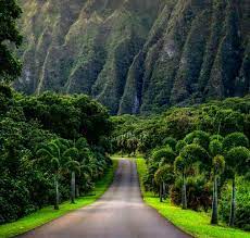 Hoʻomaluhia Botanical Gardens Kaneohe Oahu Instagram Locations Oahu Beaches Oahu