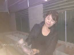 Làm giàu ở nông thôn: Phận má hồng cao tay "chỉ huy" 1.000 con dúi