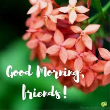 Enjoy these beautiful good morning love images with flowers right below. 64 Good Morning Wishes For Friends