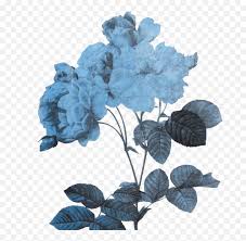 Transparent Blue Flowers Wallpapers Everything Is Transparent Aesthetic Blue Flower Png Free Transparent Png Images Pngaaa Com transparent aesthetic blue flower png