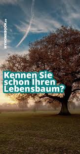 Kennen Sie Schon Ihren Lebensbaum Lebensbaum Baum Leben
