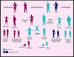 Kinship Aboriginal Language First Nations Family History