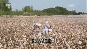 北京 天津 河北 山西 辽宁 吉林 上海 江苏 浙江 安徽 福建 江西 山东 河南 湖北 湖南 广东 广西 海南 重庆 四川 贵州 云南 西藏 陕西 甘肃 青海 宁夏 新疆 内蒙古 黑龙. Aaaysfsj9enxem