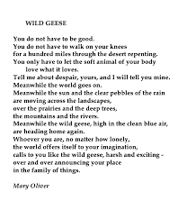 Mary Oliver 1935 2019 Wild Geese Mary Oliver Poems Cool Words Mary Oliver Quotes