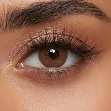 Image result for Contact Lens