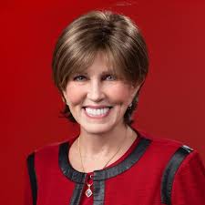 Mentor Network — The Idea Village