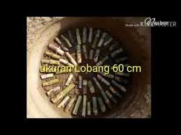 We did not find results for: Cara Menanam Tebu Agar Rimbun Dan Tidak Mudah Rebah Youtube