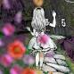 Wonderland 2025