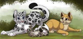 Not Playing Around How An Online Gaming Community Raised 10k For Snow Leopards Snow Leopard Trust Cute Drawings Anime Animals Snow Leopard