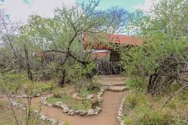 Image result for Mundulea