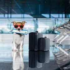 Domestic moves start at roughly $1,000, while an international trip will cost you more than $2,000 (there are discounts for military relocations). Pet Relocation Services Shipping Transport Services Jetset Pets
