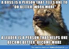 Boss Vs Leader Funsubstance Work Humor Boss Vs Leader Funny Pictures
