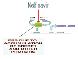 Image result for Nelfinavir